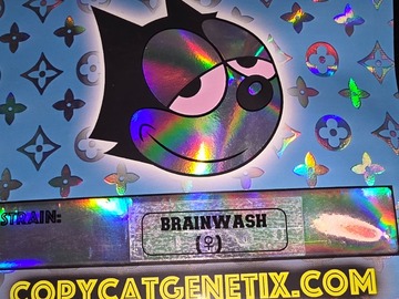 Auktion: Brainwash