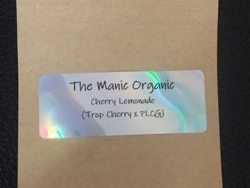Auktion: Cherry Lemonade (Trop Cherry x PLCG) 12pk. Fems - Manic Organic