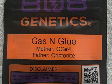 Vente: 808 GENETICS - GAS N GLUE