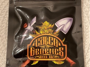 Sale: CALCO - CHERRY JUBILEE X 3-OG’S SOUR D