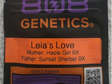 Sale: 808 GENETICS - LEIA'S LOVE