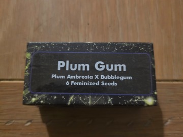 Vente: Calyx Bros Plum Gum