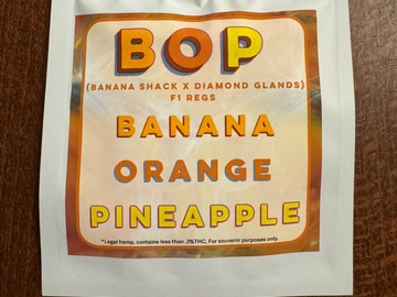 Verkaufen: B.O.P. (Shwale + Farmhouse Studio)