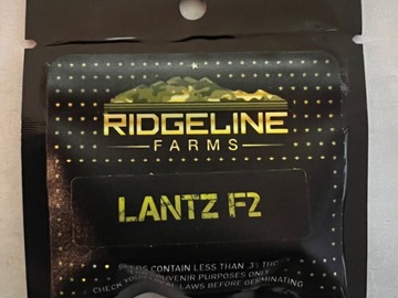 Sale: Lantz F2 - Ridgeline Farms