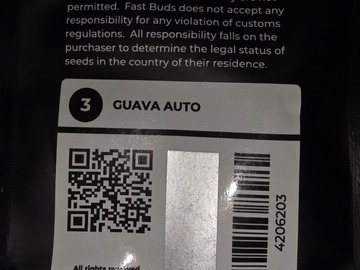 Enchères: Guava Auto+ 1 Fem Auto