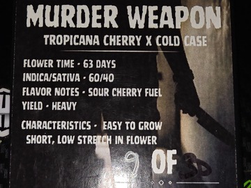 Enchères: Murder Weapon