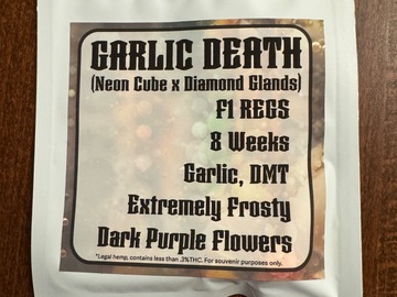 Sale: Garlic Death (Shwale - Farmhouse Studio)
