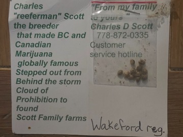 Venta: Scott Family Farms - Wakeford