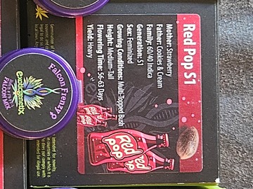 Sale: Red Pop S1
