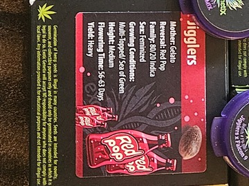 Sale: Jigglers