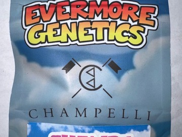 Sale: Champelli Soap x Odder Popz - Evermore Genetics