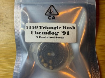 Sale: CSI Humboldt 5150 Triangle Kush X Chemdog ‘91