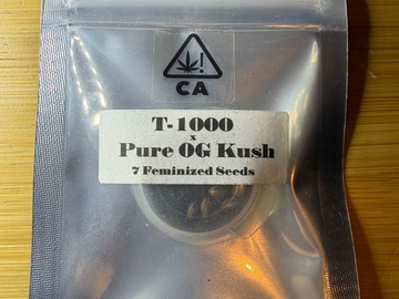 Verkaufen: CSI Humboldt T-1000 X Pure OG Kush