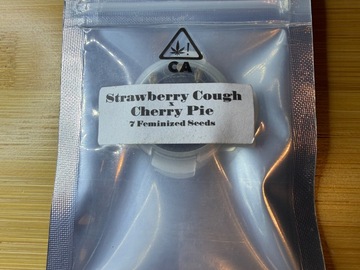 Verkaufen: CSI Humboldt Strawberry Cough X Cherry Pie
