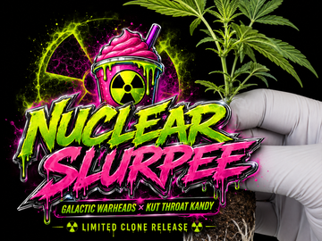 Auction: NUCLEAR SLURPEE – VERIFIED CRAFT FARMER CLONE ONLY