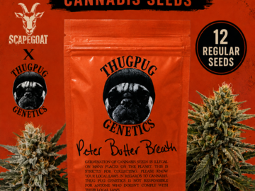 Verkaufen: Thug Pug - Peter Butter Breath Rare