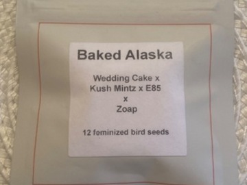 Sale: Lit Farms Baked Alaska