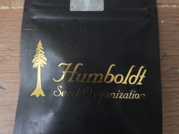 Vente: Humboldt Seed Organization  - OG Kush Auto Fems 3pk