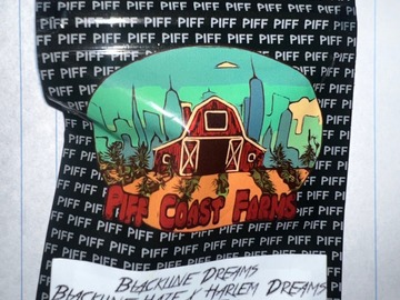 Venta: Pioneer Piff and Blackline Dreams Combo - Piff Coast