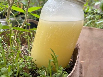 Sale: Gentle Giant Plant Therapy – 2oz 3-in-1 Crop Cleanser