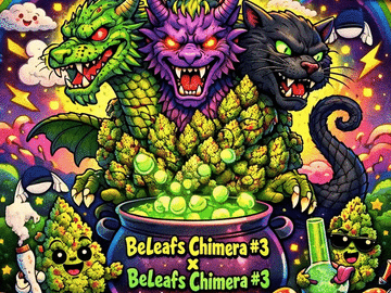 Vente: Chimera #3 S1 Pheno hunter special - 25 fems + freebie