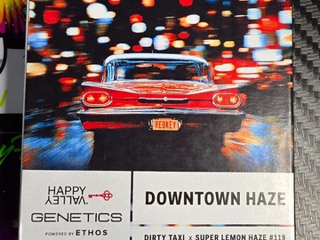 Enchères: Downtown Haze +6ct