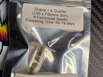 Enchères: Duece n a Quarter