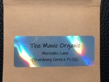 Subastas: Mercedes Lane (Stardawg Corey x PLCG) 12pk Fems - Manic Organic