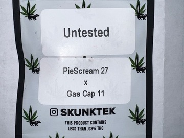 Verkaufen: Piescream #27 x Gas Cap #11 - Skunktek