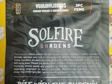 Auktion: Yummylicious – Solfire Gardens - 3ct Fems