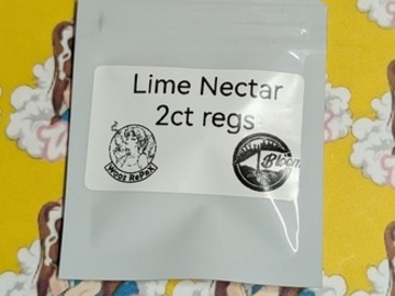 Auktion: Lime Nectar – Bloom Seed Co.  - 2ct Regs - WoozRepax
