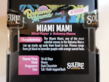 Vente: Miami Mami by Solfire