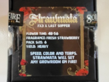 Vente: Strawmata by Solfire
