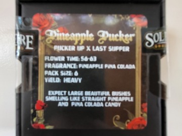 Vente: Pineapple Pucker by Solfire