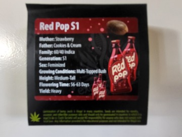 Vente: Red Pop S1 by Exotic Genetix