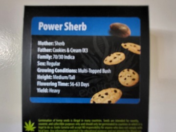 Vente: Power Sherb by Exotic Genetix