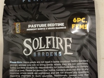 Enchères: PASTURE BEDTIME - Solfire Gardens
