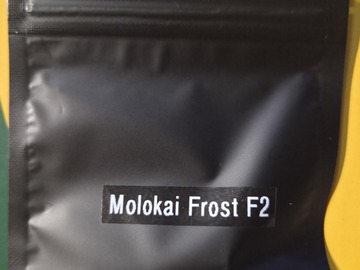 Auction: Molokai Frost IBL F2 *Preservation
