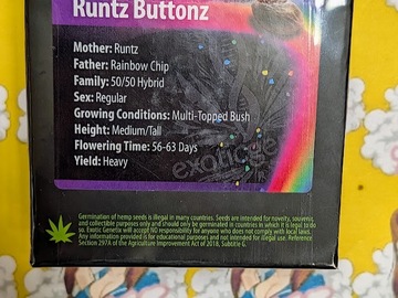 Sale: Runtz z – Exotic Genetix - Regs