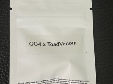 Vente: GG4 x Toad Venom 10pk. Fems - Mimic Seeds