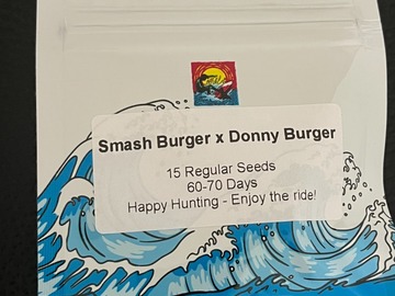 Vente: Smash Burger x Donny Burger (Donny BX)15pk. Regs - Surfr Seeds