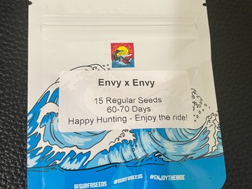 Vente: Envy x Envy (Animal Punch x Triangle Mints F2) - Surfr Seeds