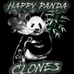 Happy Panda Clones