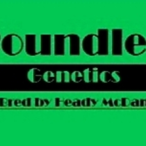 Boundless Gen - Heady McDank