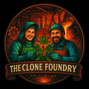 The Clone Foundry