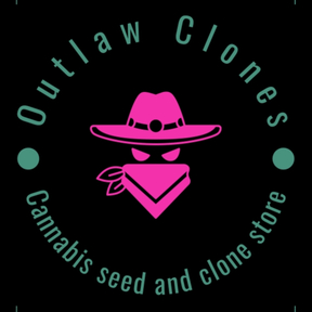 Outlaw Clones
