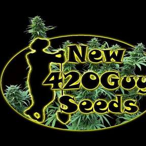 New420Guy Seeds - ACCOUNT DISABLED