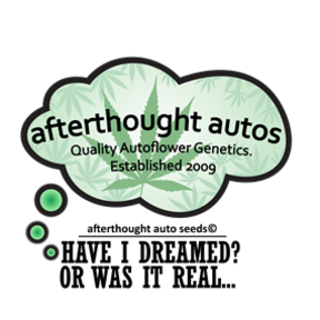 afterthought autos