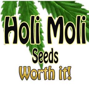 Holi Moli Seeds
