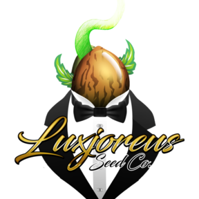 Luxjoreus